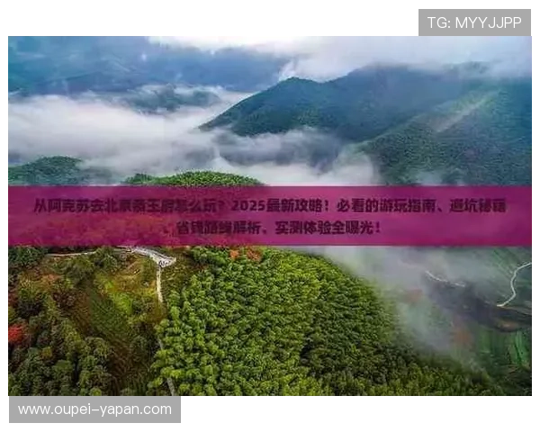 玩球波胆全包怎么打避坑指南与极速提现技巧